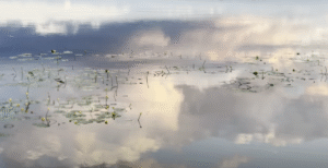 Giesmė "Balsas virš baltų debesų"